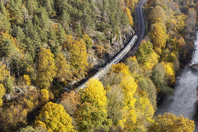 Bilden visar ett tåg som åker genom en skog på hösten.