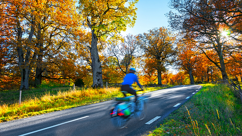 Cyklist på landsväg en solig höstdag.