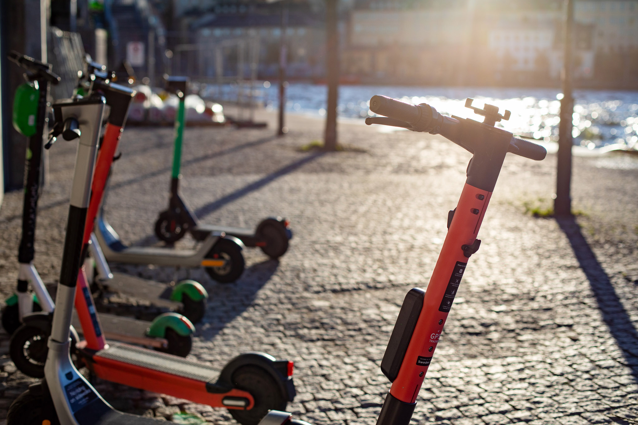 Flera elsparkcyklar står parkerade på en stenbelagd trottoar vid vattnet.