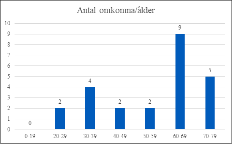 Elaggregat bensindrivet Elaggregat bensindrivet