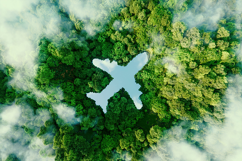 Bilden visar konturen av ett flygplan i en skog.